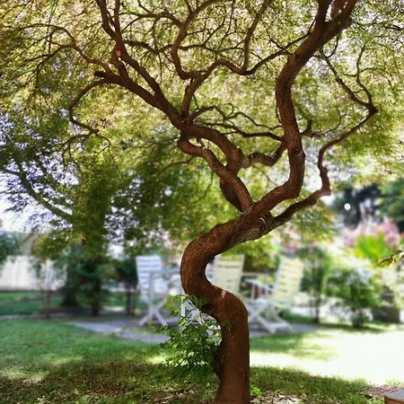 Apartman Oleandri